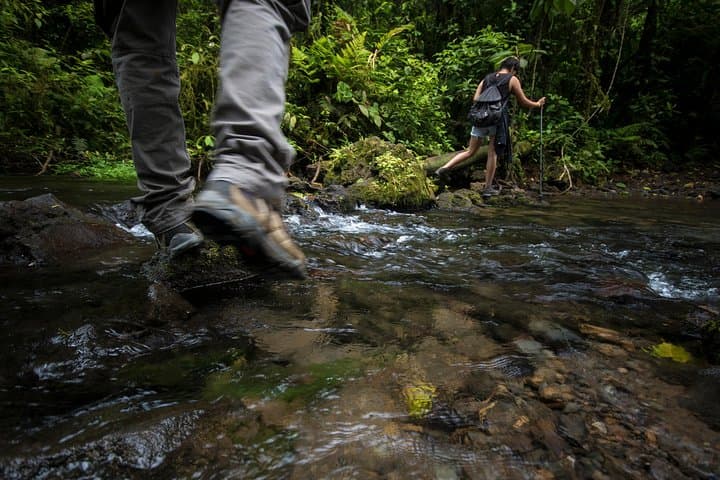 Pocosol Jungle Expedition in the Children's Eternal Rainforest photo 4