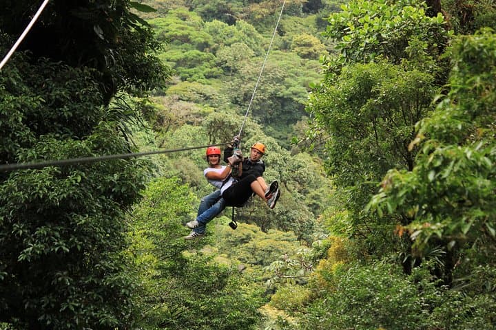 Monteverde Canopy Zipline & Butterfly Garden at Selvatura Park photo 2