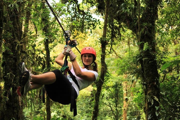 Monteverde Canopy Zipline & Butterfly Garden at Selvatura Park photo 3