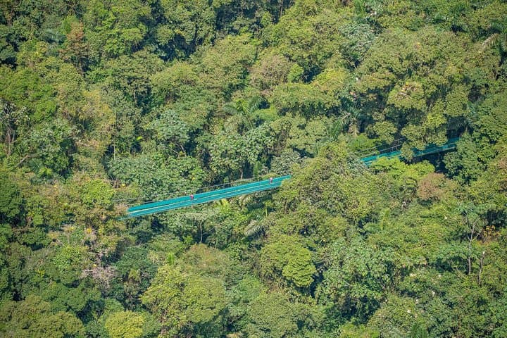 Arenal Sky Walk: Hanging Bridges, Waterfalls & Rainforest Guide photo 5