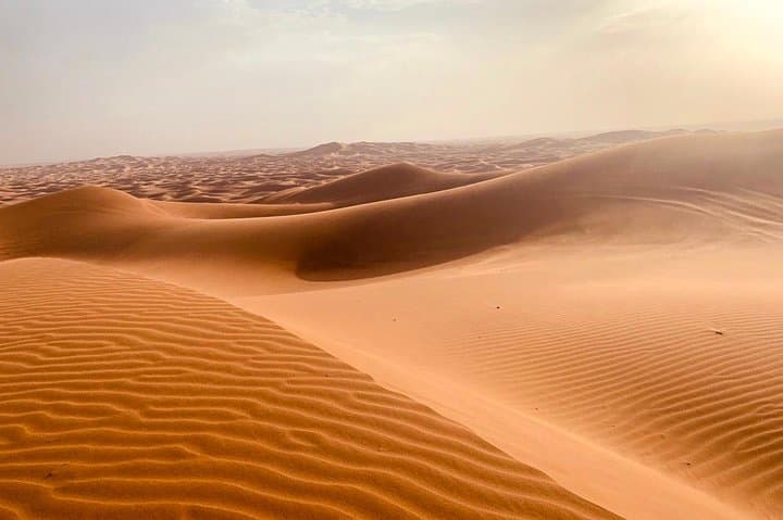Evening Desert Safari Dubai: Dune Drive, Bedouin Camp & Live Shows photo 3