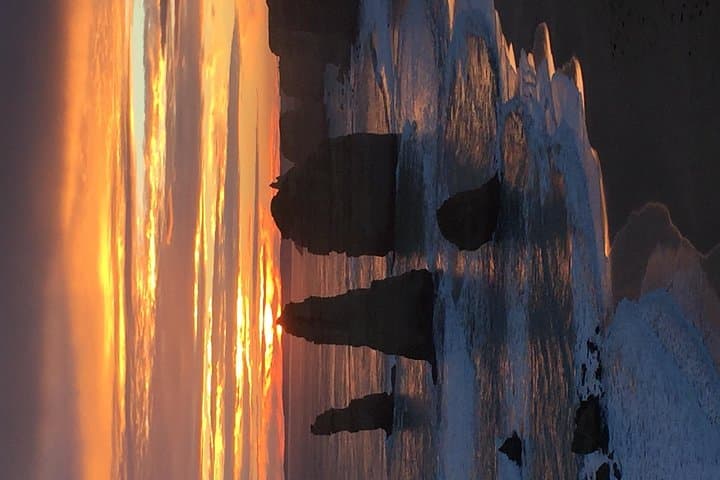 Great Ocean Road Private Day Tour: Twelve Apostles, Rainforest & Wild Coastal Wildlife photo 3