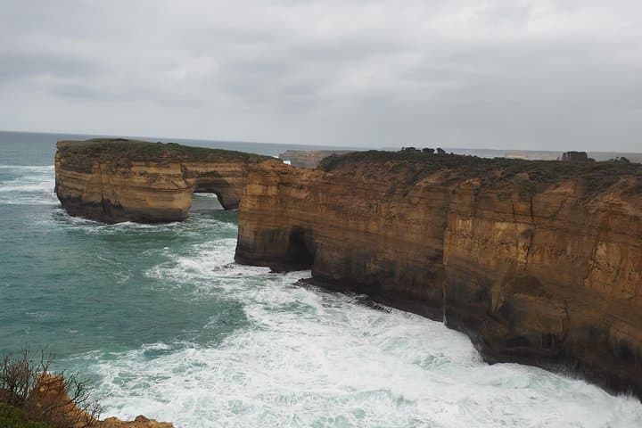 Great Ocean Road Private Day Tour: Twelve Apostles, Rainforest & Wild Coastal Wildlife photo 5