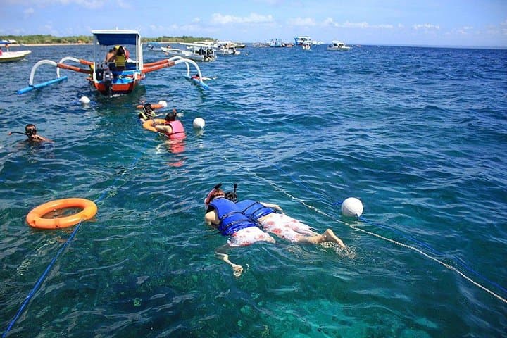 Lembongan Island One-Day Explore: Snorkel, Mangroves & Beaches from Sanur photo 3