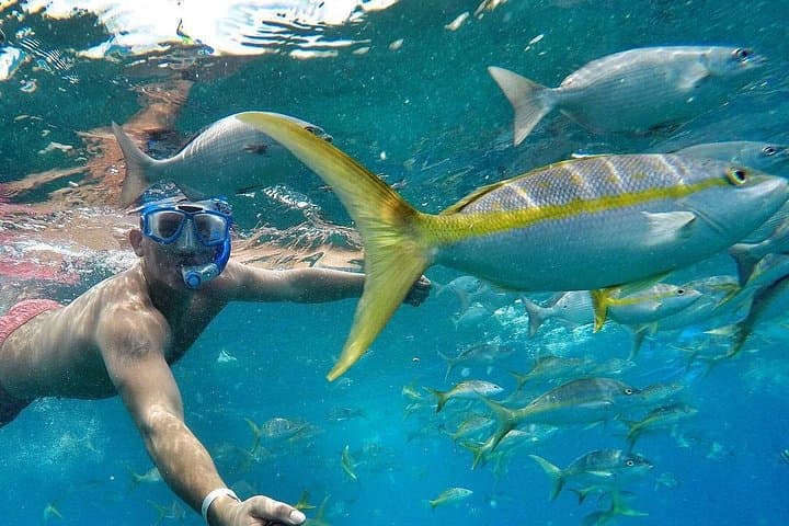 ATV & Snorkel Coastal Combo — Tamarindo, Playa Grande, Flamingo & Potrero photo 4