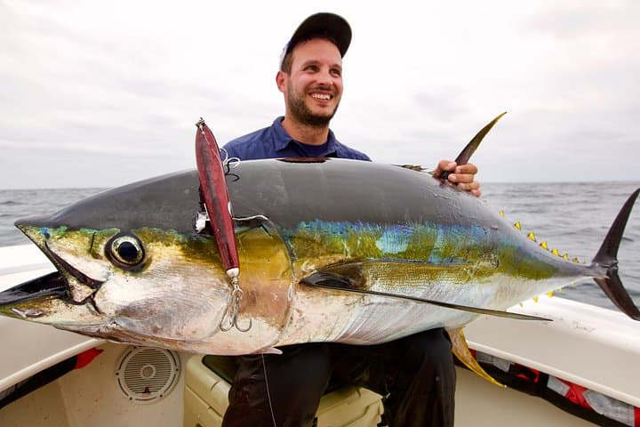 7-Hour Offshore Sport & Flyfishing Adventure in Banderas Bay photo 3