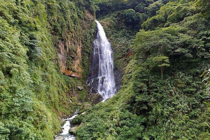 Day Tour to Cingjing Farm from Taichung — Hehuanshan, Mist Plaza & Small Swiss Garden