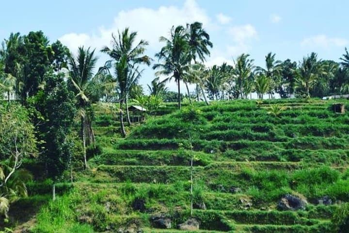 soft-trekking-tetebatu-rinjani-views-rice-fields-waterfalls photo 3