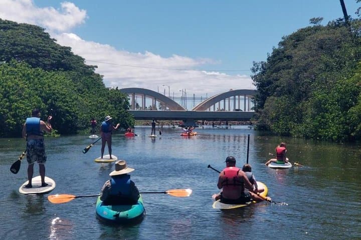 Oahu North Shore Circle Island Tour & Turtle Snorkel — Full-Day Adventure photo 3