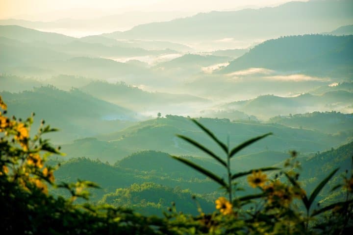 Chiang Rai Golden Triangle & Long Neck Karen Private Tour — Hill Tribe Villages, Mekong Views and Opium History