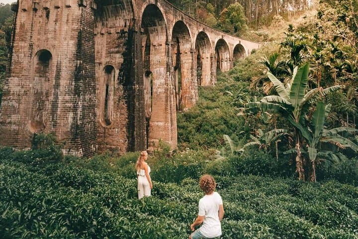 4-Day Sri Lanka: Sigiriya, Kandy & Nuwara Eliya Cultural and Wildlife Circuit photo 4