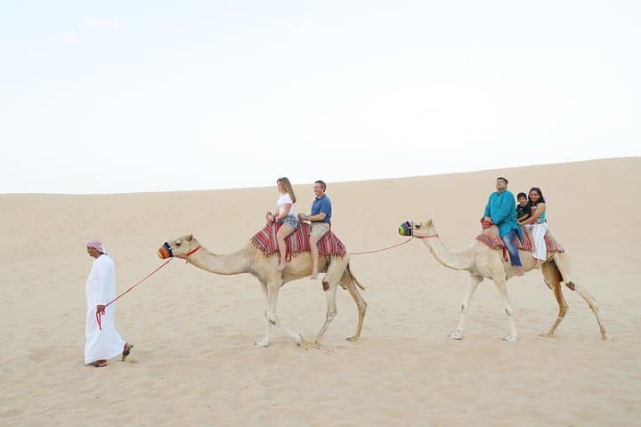 Abu Dhabi Overnight Desert Safari: Stargaze, Dune Bashing & Bedouin Camp Experience photo 3