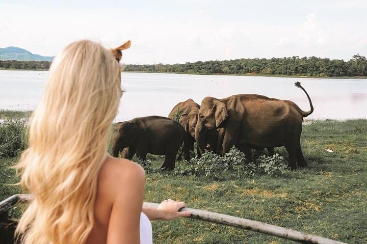 Tropical Ceylon 8-Day Cultural and Wildlife Tour: Sri Lanka Highlights photo 5