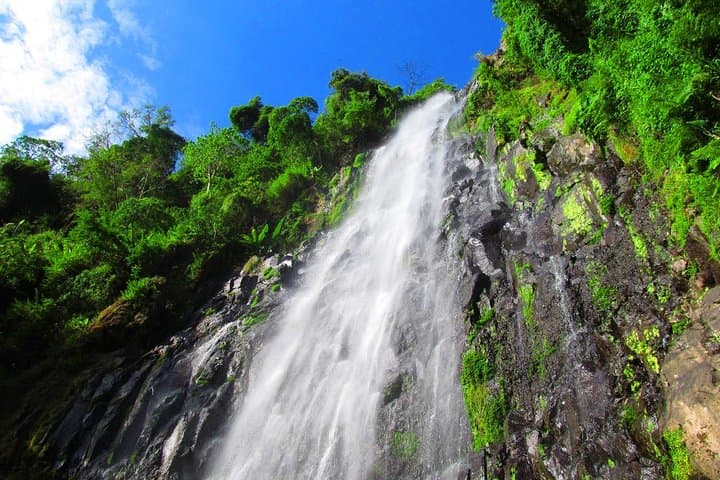 Materuni Waterfall Day Trip: Coffee, Chagga Culture & Chemka Hot Springs