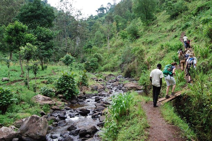 Materuni Waterfall Day Trip: Coffee, Chagga Culture & Chemka Hot Springs photo 4