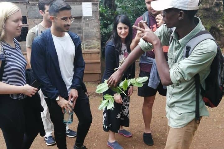 Materuni Waterfall Day Trip: Coffee, Chagga Culture & Chemka Hot Springs photo 6