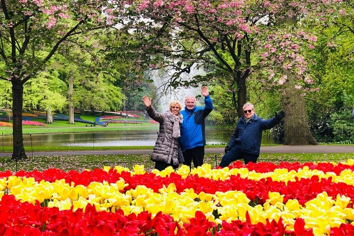 Private Windmill and Keukenhof Tulip Tour from Amsterdam: 7-Hour Spring Excursion