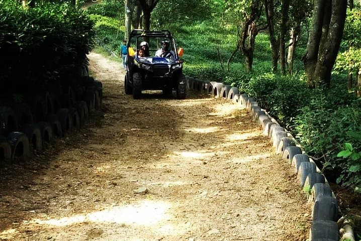 Palampur ATV Ride — 2.25 km RZR 570 Off‑Road Adventure through Kangra Tea Gardens