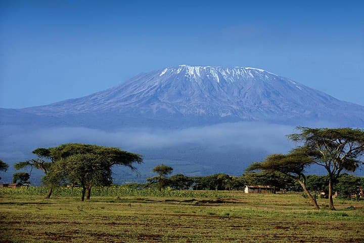 Day Hike to Mandara Hut on Mount Kilimanjaro — Rainforest Trek from Arusha photo 1