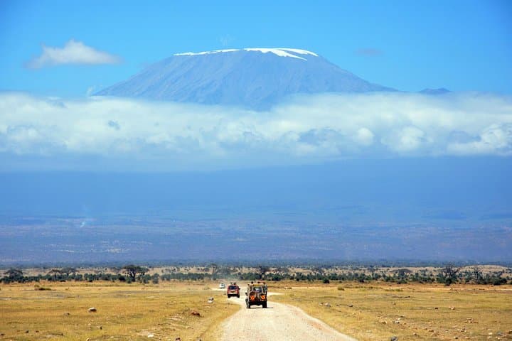 Day Hike to Mandara Hut on Mount Kilimanjaro — Rainforest Trek from Arusha photo 2