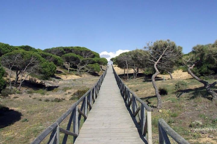Doñana National Park Horseback & 4x4 Day Trip from Seville photo 4