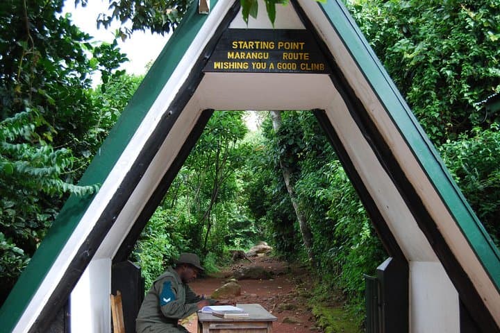 Day Hike to Mandara Hut on Mount Kilimanjaro — Rainforest Trek from Arusha photo 3