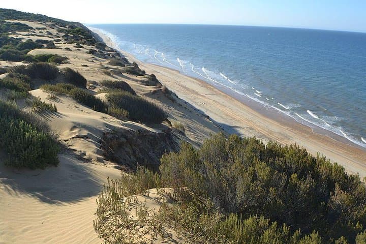 Doñana National Park Horseback & 4x4 Day Trip from Seville photo 2