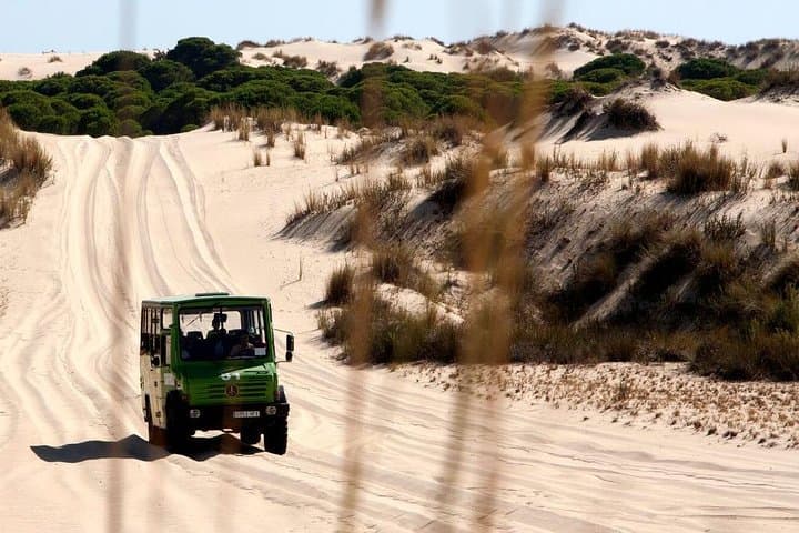 Doñana National Park Horseback & 4x4 Day Trip from Seville photo 3