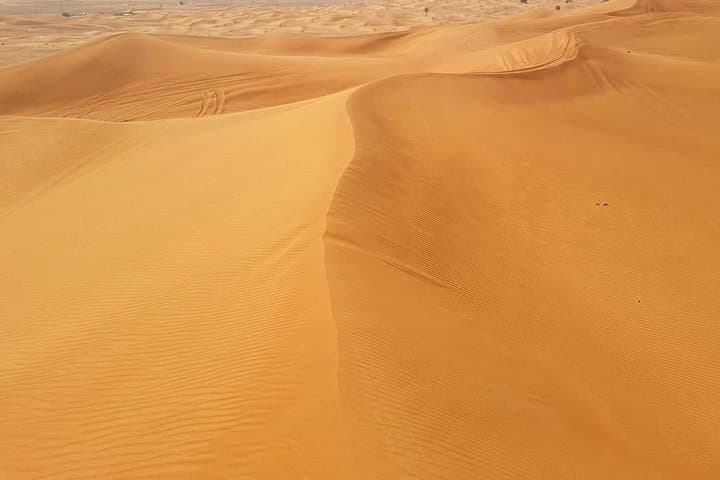 Dubai Arabian Night Desert Safari: Dune Bashing, Camel Ride & BBQ Camp photo 5