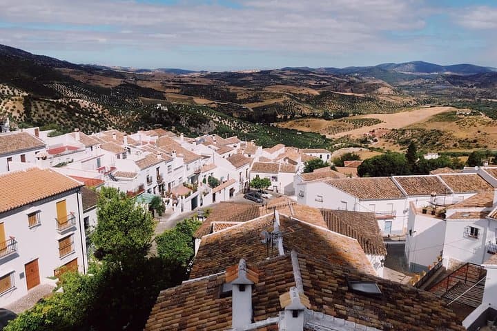 Ronda & White Villages Day Trip from Seville — Explore Andalucían High Towns and Olive Mill Tastings photo 6
