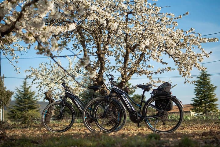 Guided Electric Bike Ocher Trail in the Luberon — Half-Day from Apt photo 4