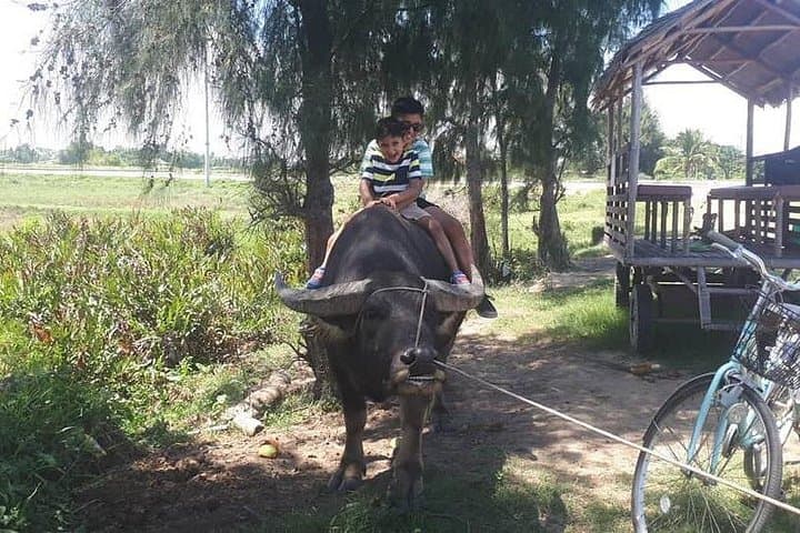 Hoi An Countryside Bicycle Tour: Tra Que, Cam Thanh & Thanh Ha Pottery photo 2