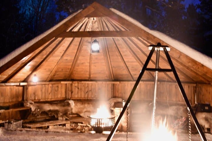 Sleigh Ride Under the Northern Lights in Alta — Aurora Dinner Safari