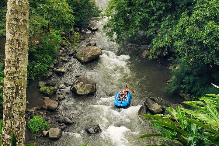 Ayung River White Water Rafting in Ubud with Waterfall & Lunch photo 4