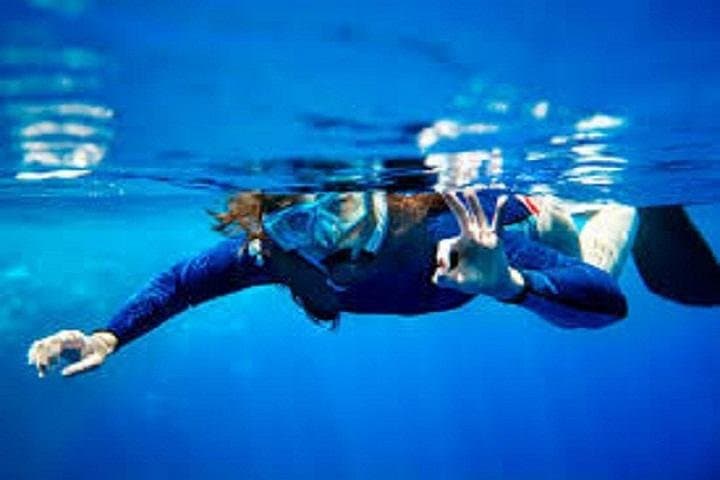 Day Diving Trip to Hamata Islands from Marsa Alam — Red Sea Lagoon & Reef Dives photo 3