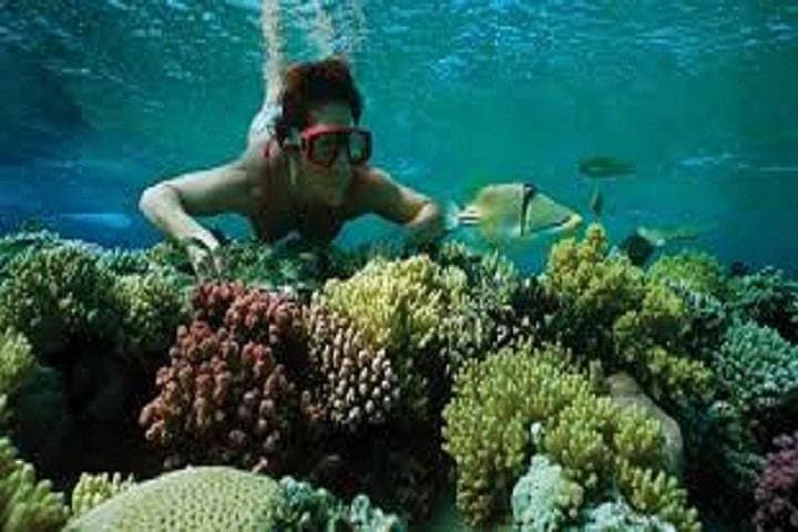 Day Diving Trip to Hamata Islands from Marsa Alam — Red Sea Lagoon & Reef Dives photo 4