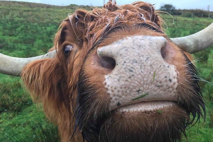 Private Multi-Day Scottish Highlands Tour: Custom Road-Trip from Edinburgh photo 2
