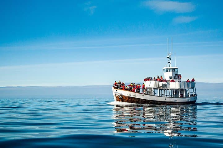 Silent Electric Whale Watching in Húsavík: Carbon-Neutral Tours on Skjálfandi Bay photo 6