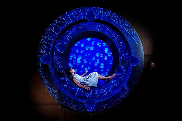 Lost Chambers at Atlantis The Palm: Skip-the-Line Aquarium Ticket