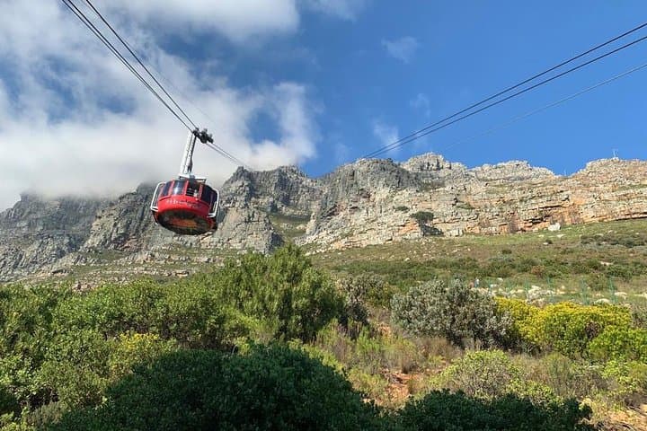 Private Day Tours in Cape Town: Table Mountain, Penguins & Winelands photo 2