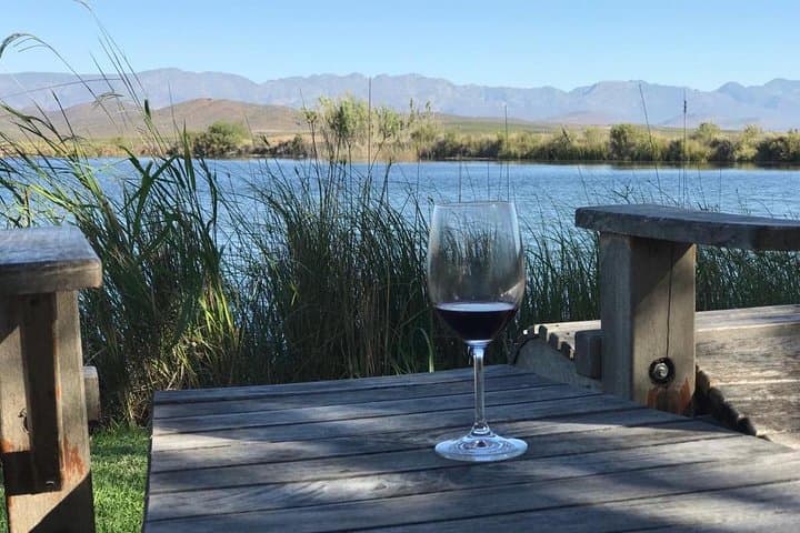 Private Day Tours in Cape Town: Table Mountain, Penguins & Winelands photo 3