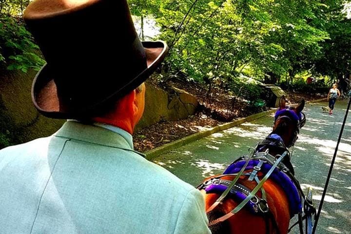Central Park Private Horse and Carriage Tour — Classic 50-Minute NYC Ride photo 2