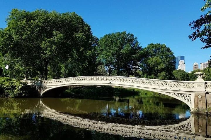 Central Park Private Horse and Carriage Tour — Classic 50-Minute NYC Ride photo 3