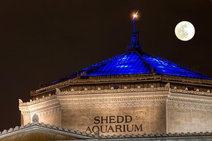 Fright Hike: Chicago Halloween Bike Tour — Haunted Loop & Lakefront Ride photo 5