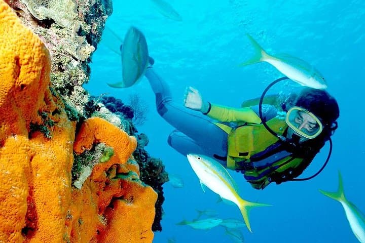 Full-Day Snorkel & Glass-Bottom Cruise to Utopia Island from Luxor photo 2