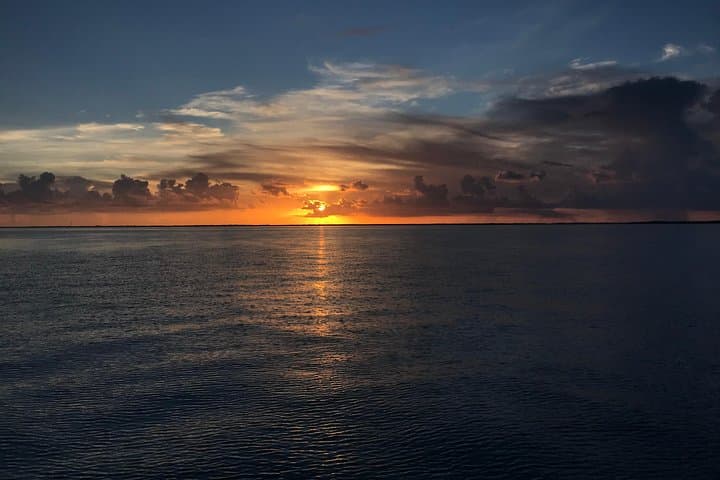 Key Largo Sunset Cruise: Florida Bay Dolphin & Manatee Evening Boat Tour photo 6