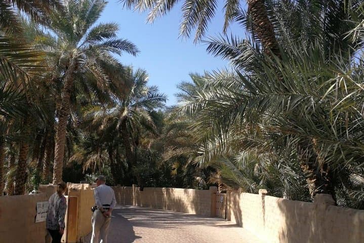 Private Al Ain Day Trip from Dubai: Forts, Oasis & Jebel Hafeet photo 3