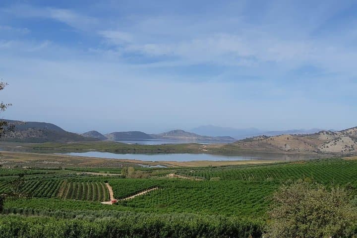 Xarrë Mandarin Farming Tour & Traditional Cooking Lunch near Butrint photo 3