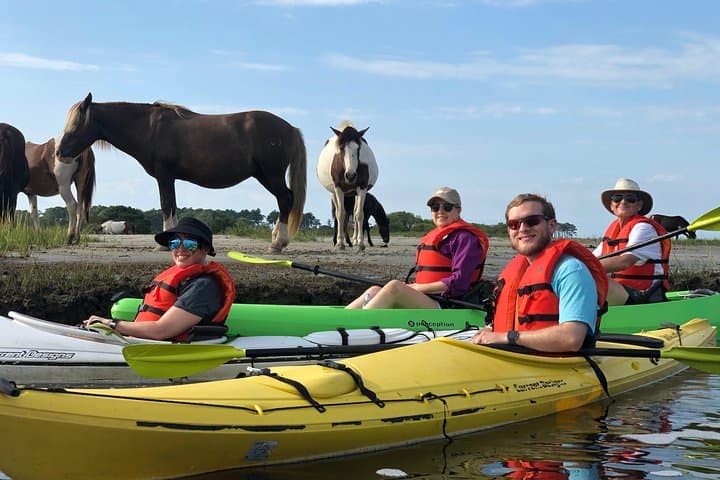 Assateague Guided Kayak Tour to See Ponies, Dolphins & Birds photo 4