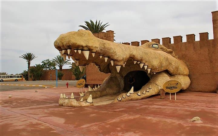 Inside Agadir's Crocoparc: Crocodiles, Botanical Gardens & Easy Transfers
